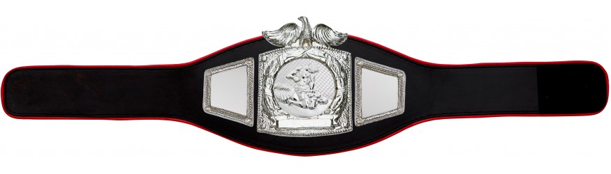 PROEAGLE MMA CHAMPIONSHIP BELT - PROEAGLE/S/MMAS - AVAILABLE IN 6+ COLOURS